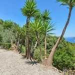 Villa Locus Solus Elba