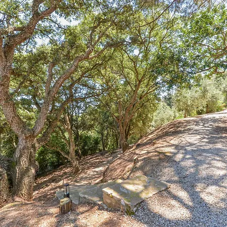 Locus Solus Elba Vila