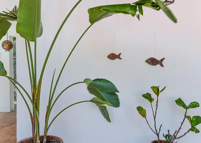 Villa Locus Solus Elba Casa Marchetti